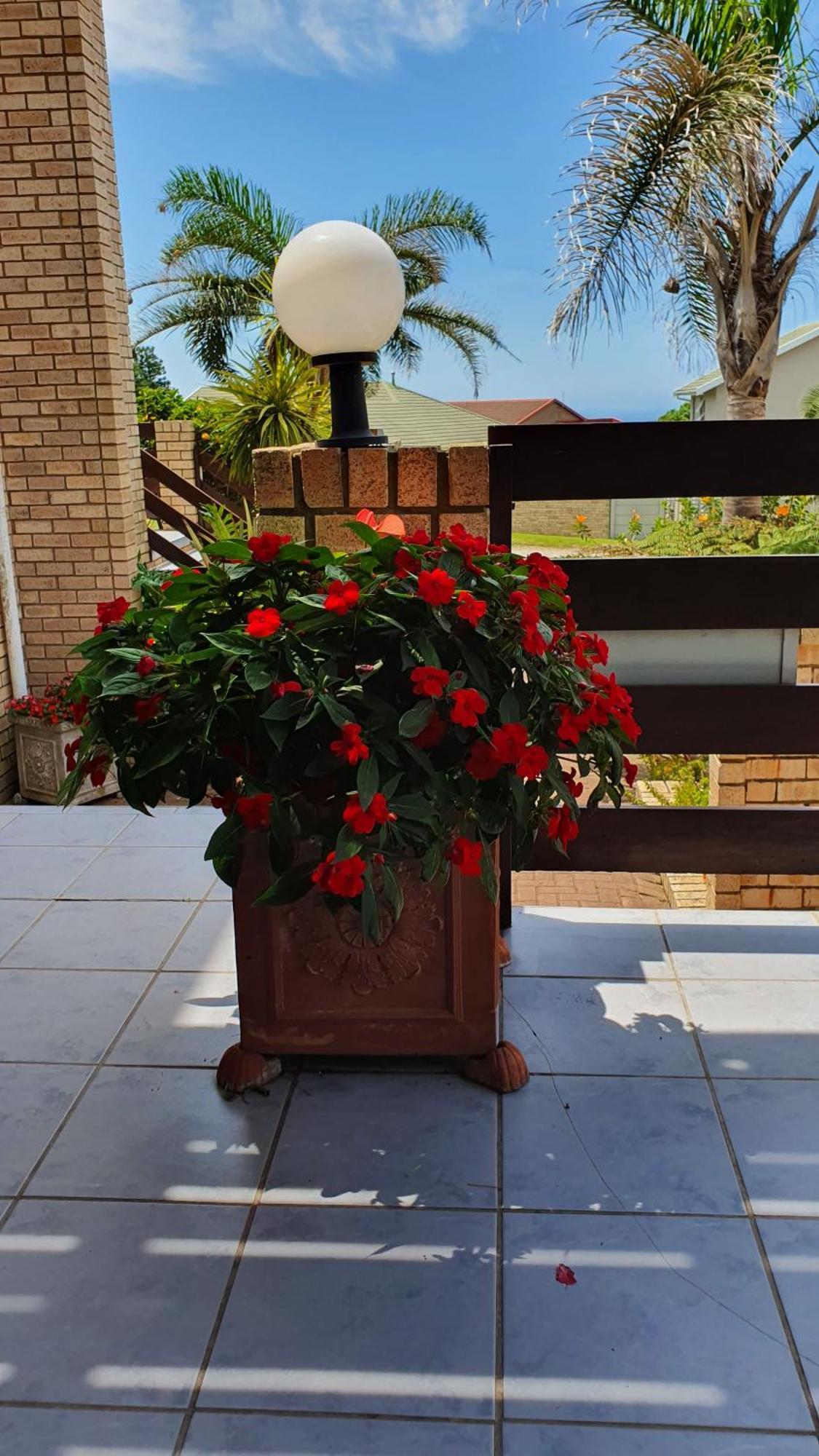 Villa Majestic For Exclusive Accommodation Port Alfred Bagian luar foto